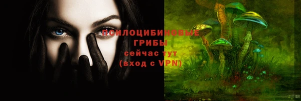 ECSTASY Абаза