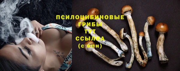 ECSTASY Абаза
