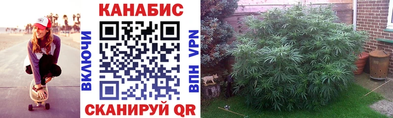 Каннабис OG Kush omg ССЫЛКА Комсомольск-на-Амуре купить наркотик